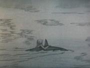Мультфильм "Девочка и дельфин"